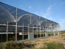 影響溫室大棚間距的六個因素