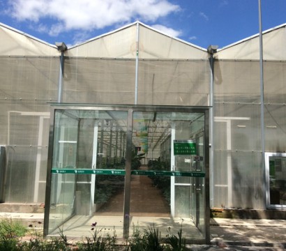 陽光板溫室
